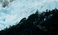 2017 01 14 Chilian Glaciers Tierra del Fuego Chile_Z5A1897