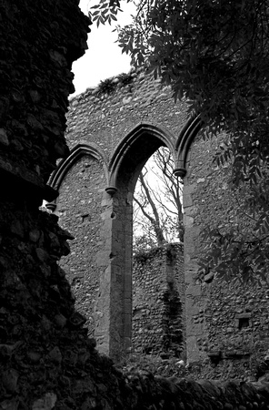 2009 11 03 Beeston Regis Priory Norfolk IMG_9551